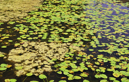 Lake near church in Copenhagen, Denmark