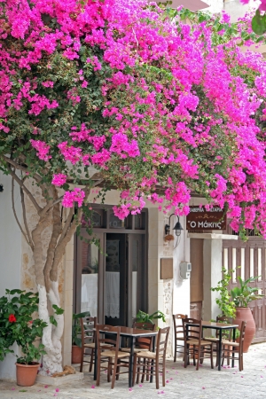 PANORMO, GREECE - SEPTEMBER 7  Restaurant at small seaside village Panormo at island Crete on September 7, 2013 in Panormoのeditorial素材