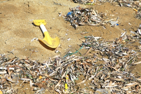Dirty beach near the seaの写真素材