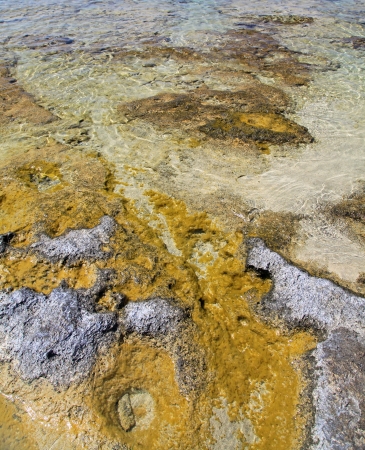 Shallow clear sea with pink sand beach at Elafonisi, Crete - Greeceの写真素材