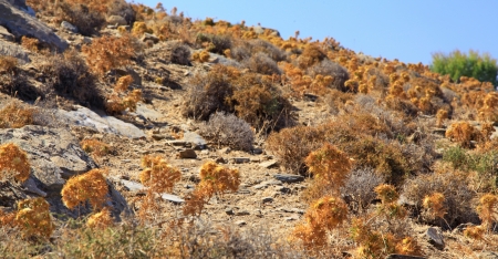 Desert at Crete, Greeceの写真素材