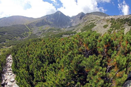 Lomnicky stit - peak in High Tatras mountains, Slovakia の写真素材
