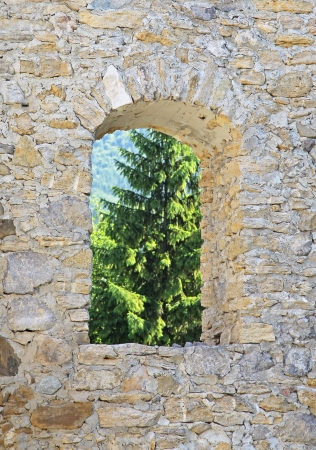 Likavsky hrad - ruined castle in region Liptov, Slovakiaのeditorial素材