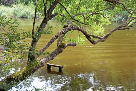 Small river ROPOTAMO in Bulgariaの写真素材