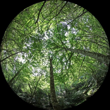 Stradja nature park in Bulgariaの写真素材