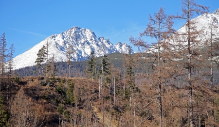 Beautiful High Tatras mountains - Slovakiaの写真素材