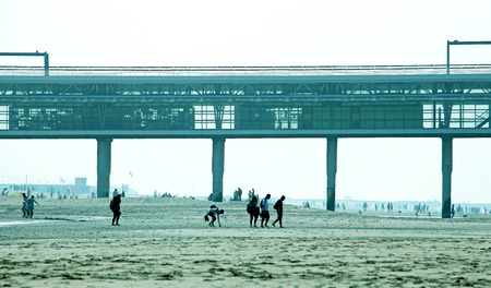 MEIJENDEL, NETHERLANDS - APRIL 2: Coast of the North sea in Netherlands near dunes Meijendel on April 2, 2014 in MEIJENDELのeditorial素材