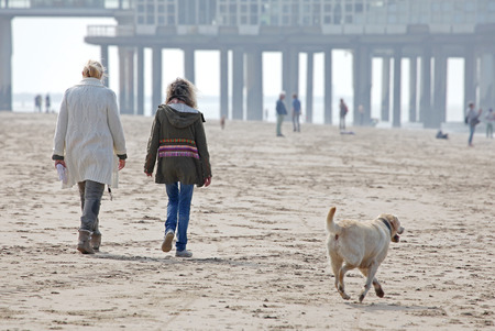 MEIJENDEL, NETHERLANDS - APRIL 2: Coast of the North sea in Netherlands near dunes Meijendel on April 2, 2014 in MEIJENDELのeditorial素材