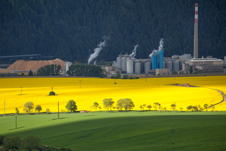 Rapeseed field and factory Mondi at town Ruzomberok, Slovakiaの写真素材