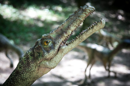 Realistic model of dinosaur Ceolophysisのeditorial素材