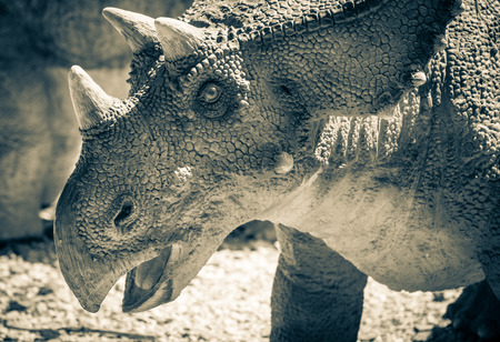 Realistic model of dinosaur - Chasmosaurus - Dinopark, Bratislavaのeditorial素材