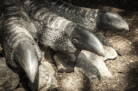 Leg of dinosaur Allosaurusのeditorial素材