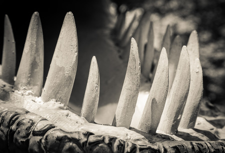 Realistic model of dinosaur Allosaurusのeditorial素材