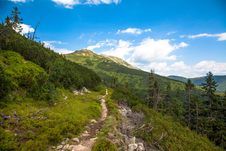 View from Low tatras mountains, Slovakiaの写真素材