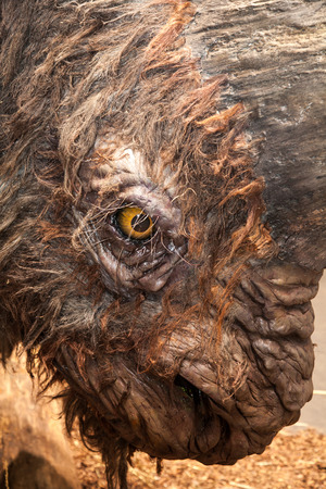 LIPTOVSKY MIKULAS, SLOVAKIA - AUGUST 28: Realistic model of prehistoric animal on the exhibition Gigants on August 28, 2014 in Liptovsky Mikulasのeditorial素材