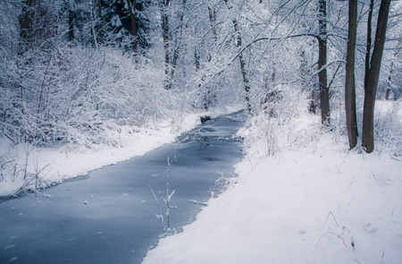 Winter country, Slovakiaの写真素材