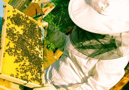 Beekeeperの写真素材