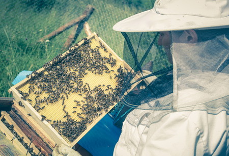 Beekeeperの写真素材