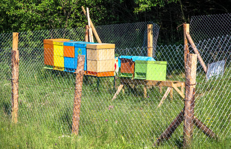 Beehive
