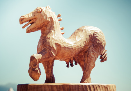 Celtic horseの写真素材
