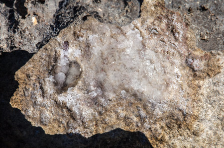 Crystalline salt