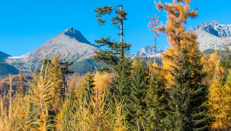 Autumn in High Tatras mountains, Slovakiaの写真素材