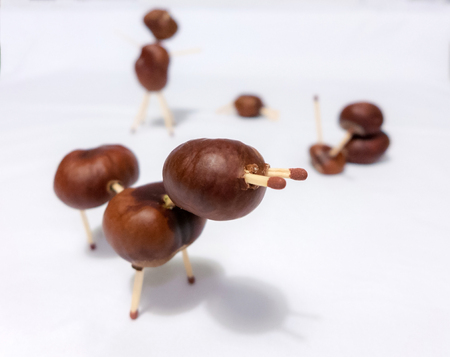 Toy from chestnutsの写真素材
