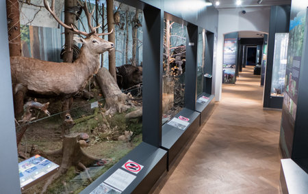 LIPTOVSKY MIKULAS, SLOVAKIA - APRIL 2: Interior of museum SMOPAJ on April 2, 2016, Liptovsky Mikulasのeditorial素材