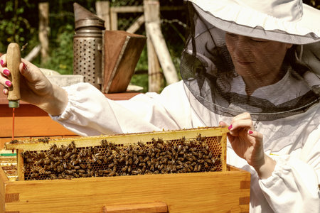 Apiary - woman beekeeper with beesの写真素材