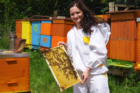 Woman beekeeper in white worksuite with bees in honeycomb