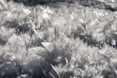 natural ice crrystal texture for backround. Macro photography