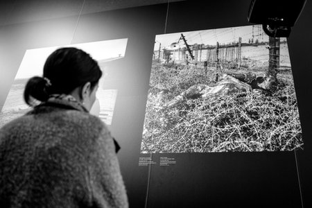 BERLIN, GERMANY - APRIL 9: Woman watching on photography of Eric Schwab in Jewish museum in Berlin...