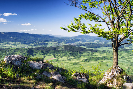 Beautiful view from hill Hrdos (Ostre). Mala Fatra  mountains landscape. Region Orava, Slovakiaのeditorial素材