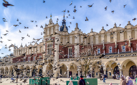 KRAKOW, POLAND - FEBRUARY 19: Pigeon's flock in Main square on february 19, 2018 in Krakowのeditorial素材