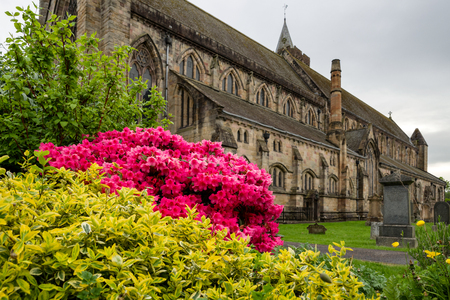 Blooming flowers at old graveyard. Dunblane cathedral, Scotlandのeditorial素材