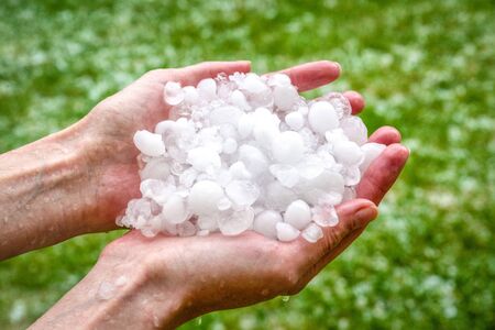 Big hails in hands after hailstormの写真素材