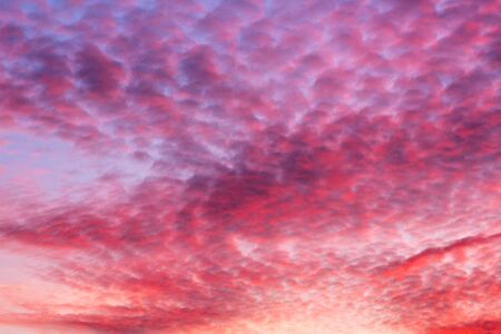 Colorful clouds Cirrocumulus on evening sky.の写真素材