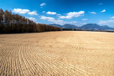 Dry soil in the field. Farming problems