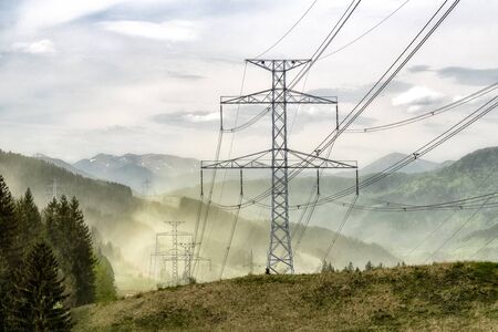 Yellow pollen flying in the air.  Allergic spring season. pollen stormの写真素材