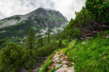 Tarn Velicke pleso and Velicky waterfall in High Tatras mountains, Slovakia.の写真素材