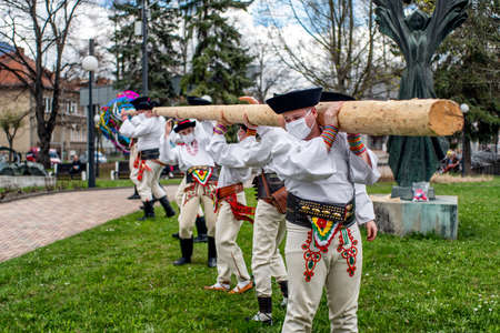 RUZOMBEROK, SLOVAKIA  - MAY 1, 2021: People in protective face mask due coronavirus Covid-19 putting up of the maypoles - Slovak folk tradition on 1st Mayのeditorial素材
