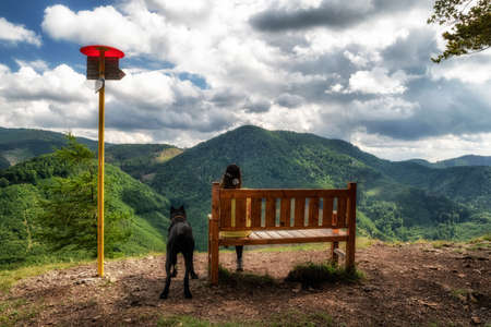 beautiful summer mountain view from hill Cipcie in Slovakiaの写真素材