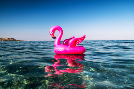 pink flamingo inflatable on the water of sea