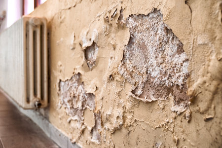 Mold and damp damage with peeling plaster on apartment wall near radiator, showing unhealthy living conditions and housing problem caused by humidity and moisture.の写真素材
