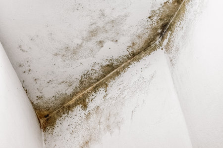 Close-up of mold and moisture stains on white wall corner in interior room. Concept of home humidity, poor ventilation and unhealthy living environment.の写真素材