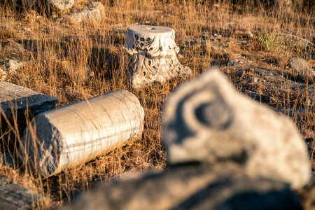 Ancient marble column fragments and carved stone details scattered through dry grass at an archaeological site illuminated by warm sunset lightの写真素材