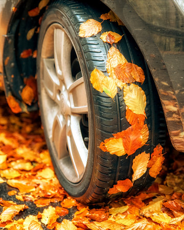 Close-up view of autumn leaves on a car tire in a vivid outdoor fall scene - seasonal transportation and nature detail.の写真素材