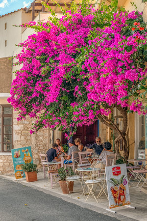 Margarites, Crete, Greece - September 7, 2025: People sitting at a small street cafÃ© under a blooming bougainvillea tree in the traditional pottery village of Margarites.のeditorial素材