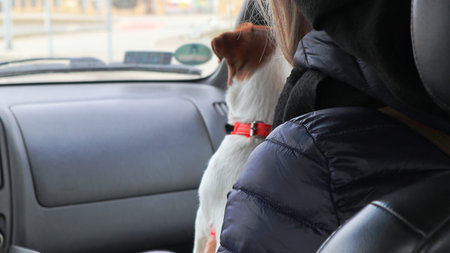 Traveling by car, with a dog.