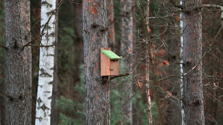 A birdhouse on a tree in the forest. Birdhouse in the forest.